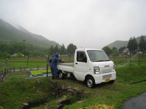 苗運び 苗運び