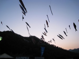 鯉のぼり 鯉のぼり